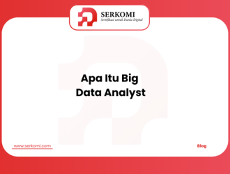 Apa Itu Big Data Analyst