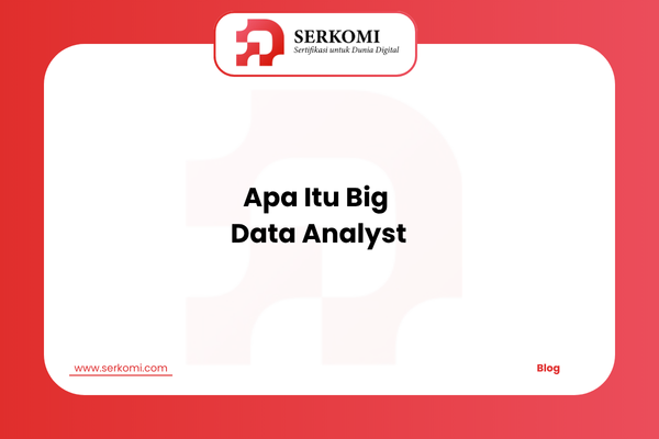 Apa Itu Big Data Analyst