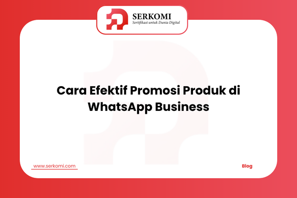 Cara Efektif Promosi Produk di WhatsApp Business