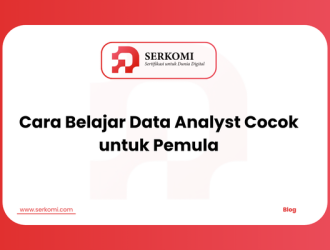 Cara Belajar Data Analyst Cocok untuk Pemula