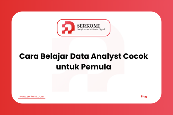 Cara Belajar Data Analyst Cocok untuk Pemula